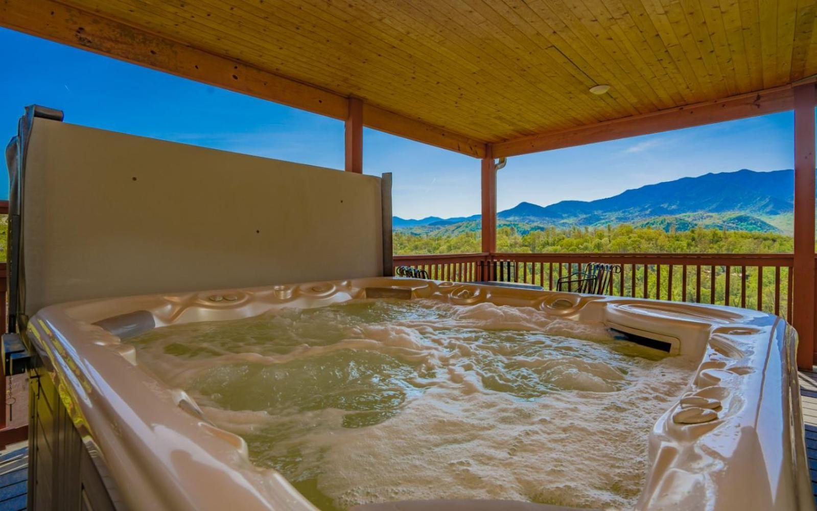 Beartastic Mountain View Lodge Gatlinburg Buitenkant foto