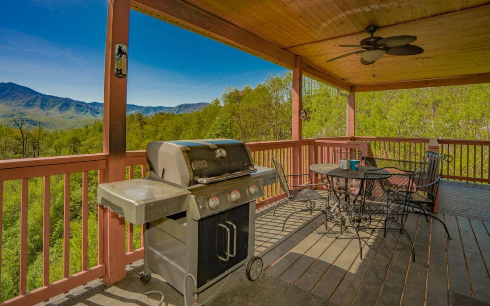 Beartastic Mountain View Lodge Gatlinburg Buitenkant foto